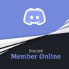 Discord Member Online